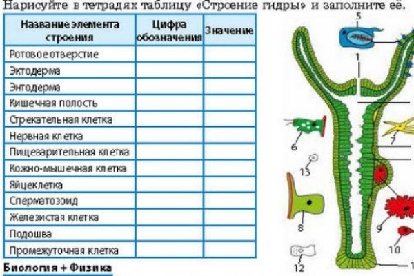 Правила модераторов кракен площадка