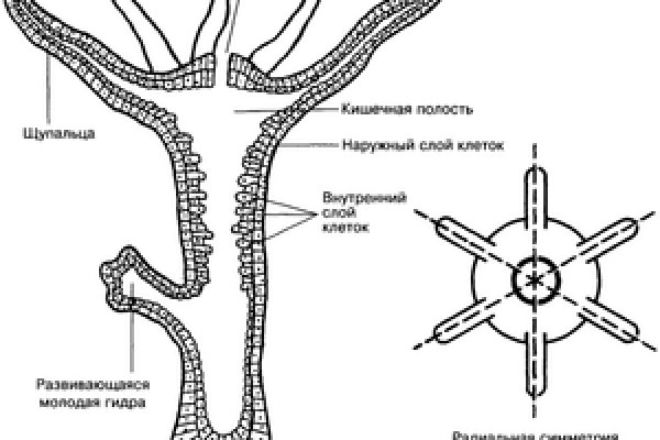 Кракен тор kr2web in